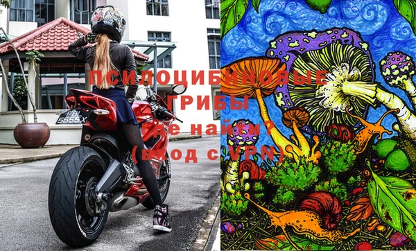 дурь Алексин
